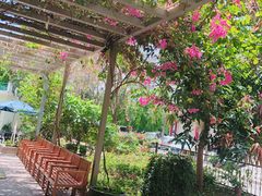 -香香海南菜餐厅