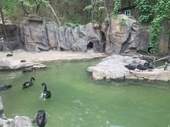 -燕塞湖鸟语林景区