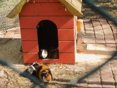 -大连铭湖国际观光牧场