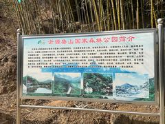 -鲁山国家森林公园