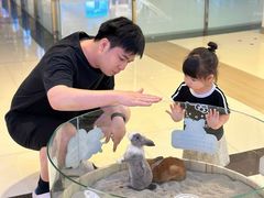 -东莞君尚