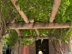-西安大兴善寺
