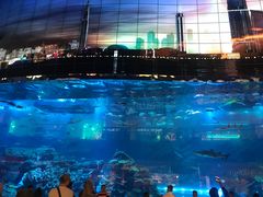 -迪拜水族馆及水下动物园