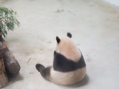 -杭州动物园