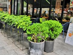 -Wagas沃歌斯(大学路店)