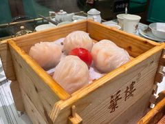 -蘩楼(南京西路中信泰富店)