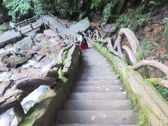 -五女峰国家森林公园