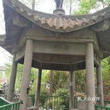 南汇桃花开，出游正其时
