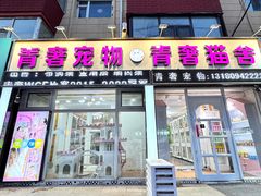 -青奢宠物·青奢猫舍