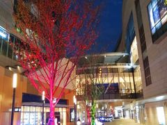 -保利MALL(天鹅湖店)