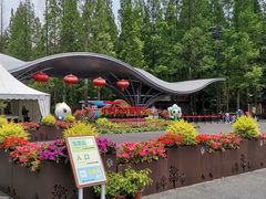 -东平国家森林公园