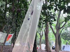 -杭州植物园