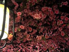 -宋徽厨·安徽菜(绿地店)