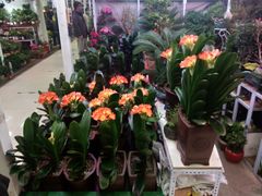 -三旗百汇商品城