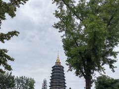 -红梅公园