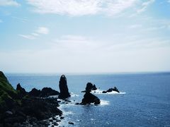 -涉地可支