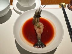 -觀芷隐轩