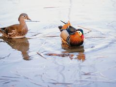 -颐和园