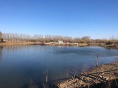 -东郊湿地公园