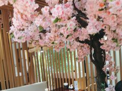 -松子料理(华威桥店)