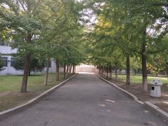 -辽宁大学(崇山校区)