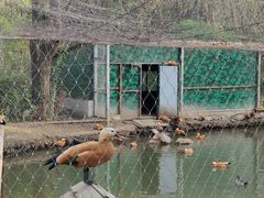 -沈阳鸟岛