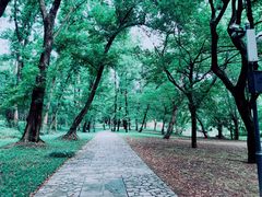 -采石矶景区