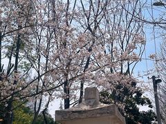 -堤角公园