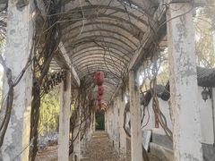 -盛世南宫影视城(北普陀影视城)