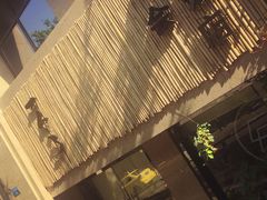 -柴务处·柴犬主题狗咖