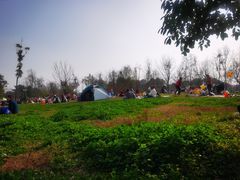 -两河城市森林公园
