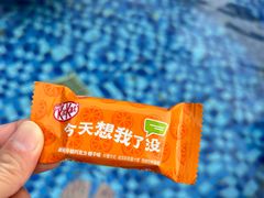 -和园景逸大酒店朗月汤泉
