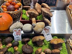 -菌自由丨野生菌火锅特色庭院餐厅(丽江古城店)