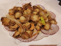 辣炒小扇贝-双井轩(双井店)