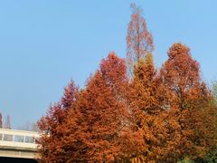 -T80科技文化国际社区-停车场