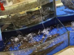 -海景壹号大酒店(滨湖店)