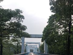 -东莞植物园