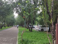 -北海公园-停车场