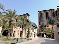 -海南椰子鸡餐厅(三亚湾红树林店)