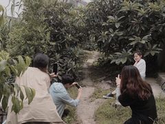 -塘栖枇杷特色园区