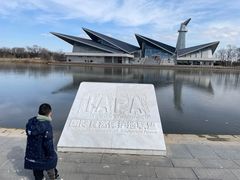 -盐城丹顶鹤湿地生态旅游区