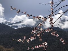 -萝卜寨羌文化生态旅游区