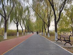 -大兴滨河森林公园