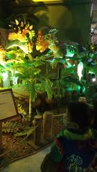 点击看大图 -恐龙探索乐园(磁器口店)