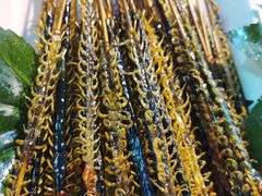 -南门头上美食街