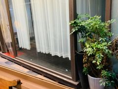 -先机泉水鸡汤(南山老君洞店)