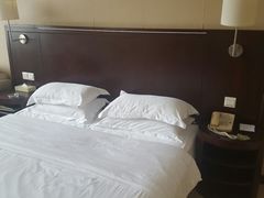 -南京钟山宾馆(江苏省会议中心)
