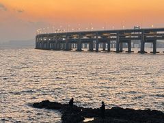 -星海湾跨海大桥