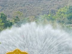-西双版纳原始森林公园