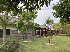 -广东花都湖国家湿地公园